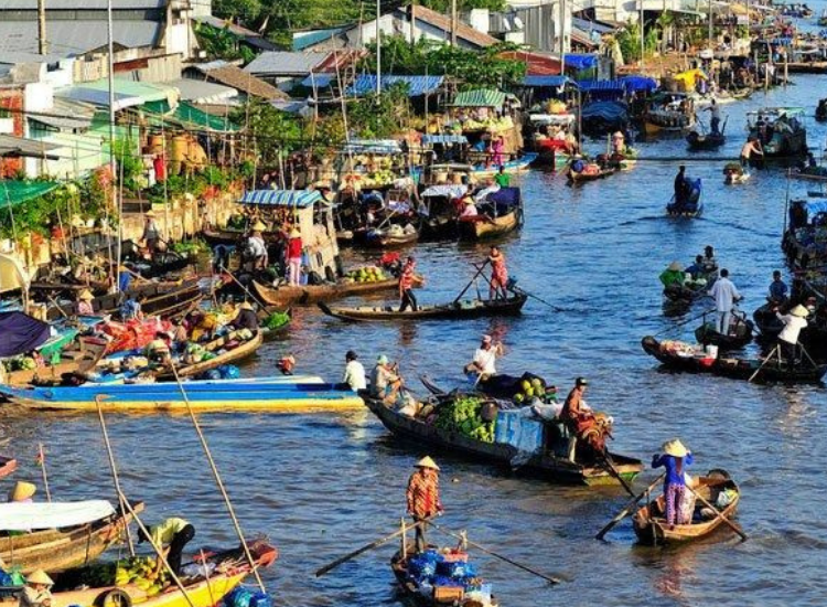 hợ nổi Cà Mau – nét văn hóa miền Tây và điểm check-in Cà Mau 2026